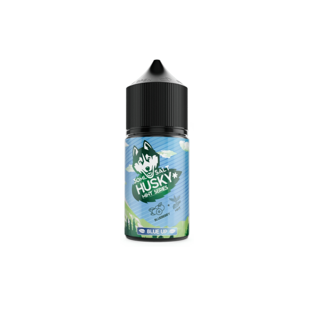 Husky mint series salt (blue up) 20mg M