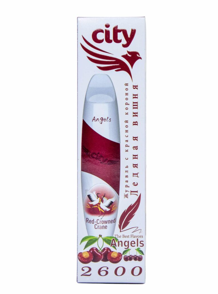 City Angels (ледяная вишня) M