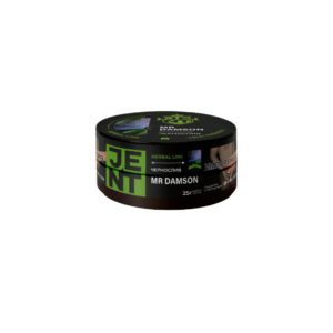 Jent 25гр (mr damson)