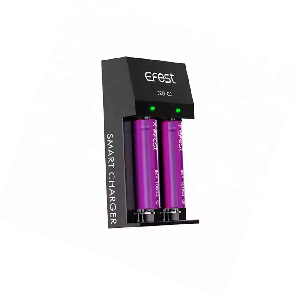 Зарядное устройство Efest Pro C2
